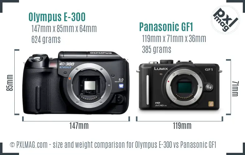 Olympus E-300 vs Panasonic GF1 size comparison