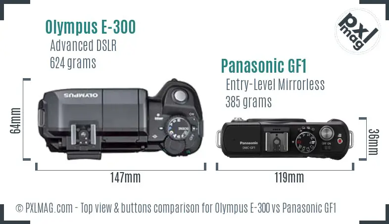 Olympus E-300 vs Panasonic GF1 top view buttons comparison