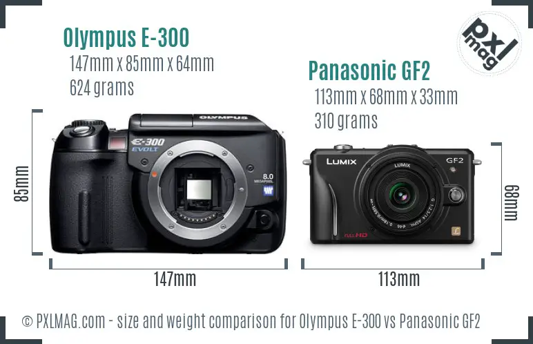 Olympus E-300 vs Panasonic GF2 size comparison