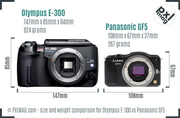 Olympus E-300 vs Panasonic GF5 size comparison