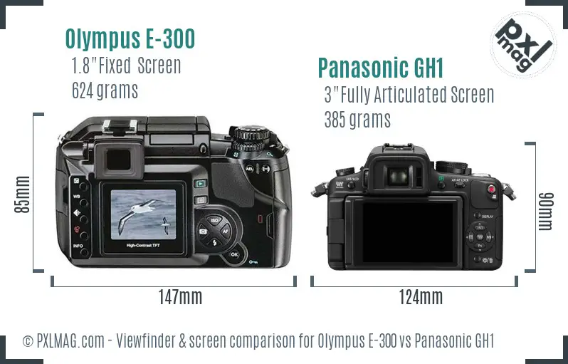 Olympus E-300 vs Panasonic GH1 Screen and Viewfinder comparison