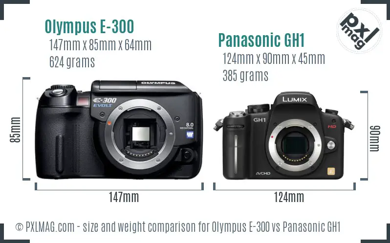 Olympus E-300 vs Panasonic GH1 size comparison