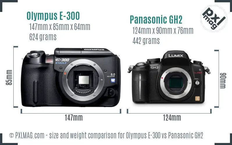Olympus E-300 vs Panasonic GH2 size comparison