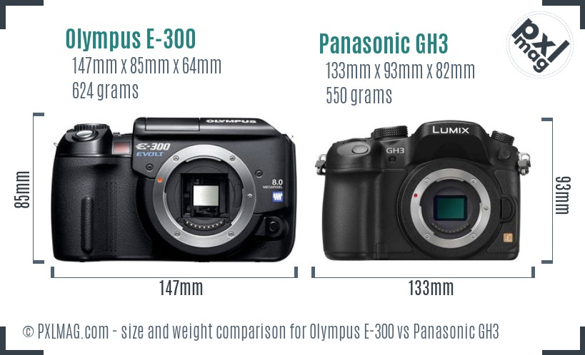 Olympus E-300 vs Panasonic GH3 size comparison