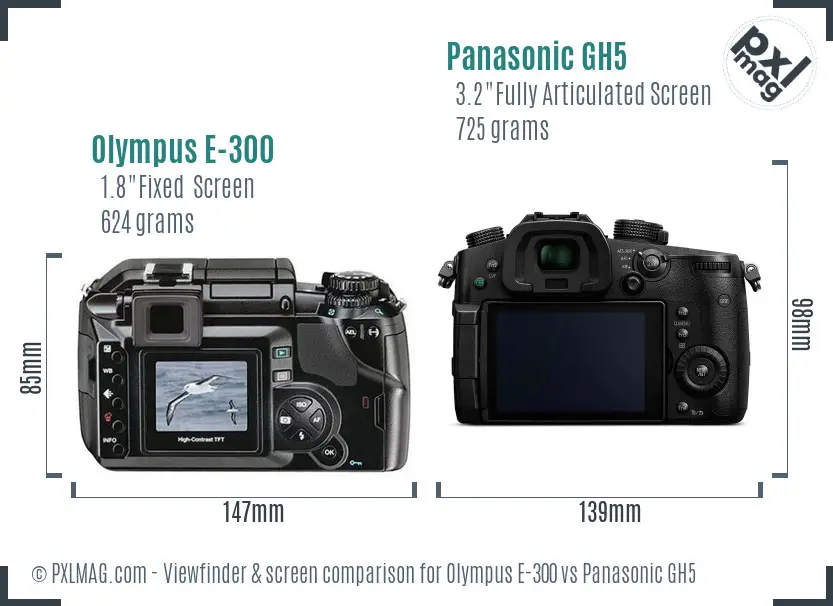 Olympus E-300 vs Panasonic GH5 Screen and Viewfinder comparison