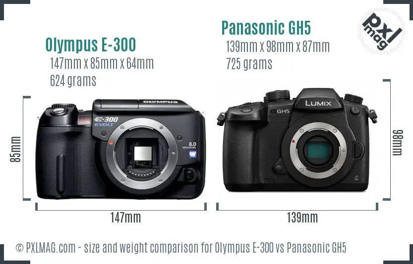 Olympus E-300 vs Panasonic GH5 size comparison