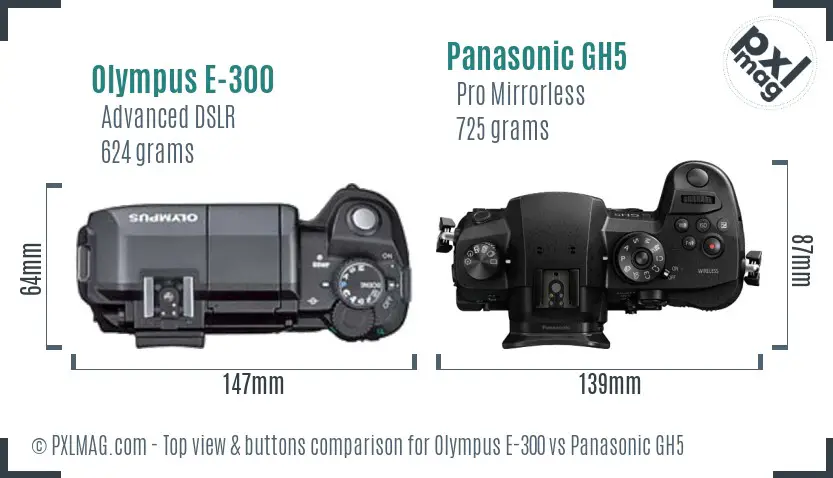 Olympus E-300 vs Panasonic GH5 top view buttons comparison