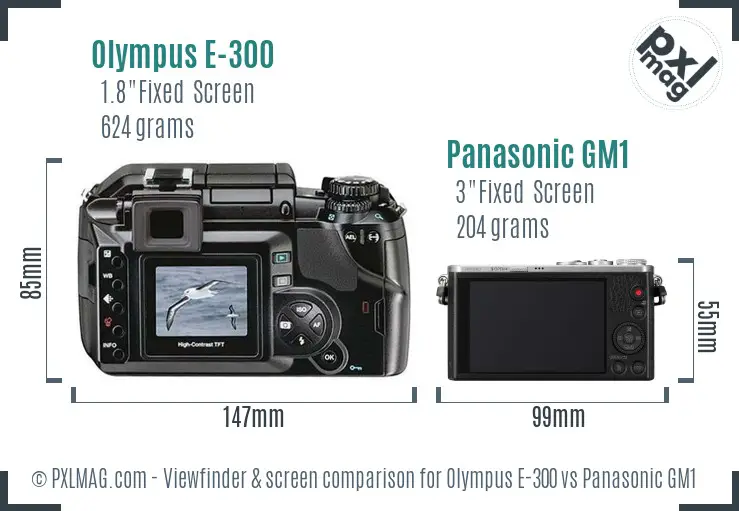 Olympus E-300 vs Panasonic GM1 Screen and Viewfinder comparison