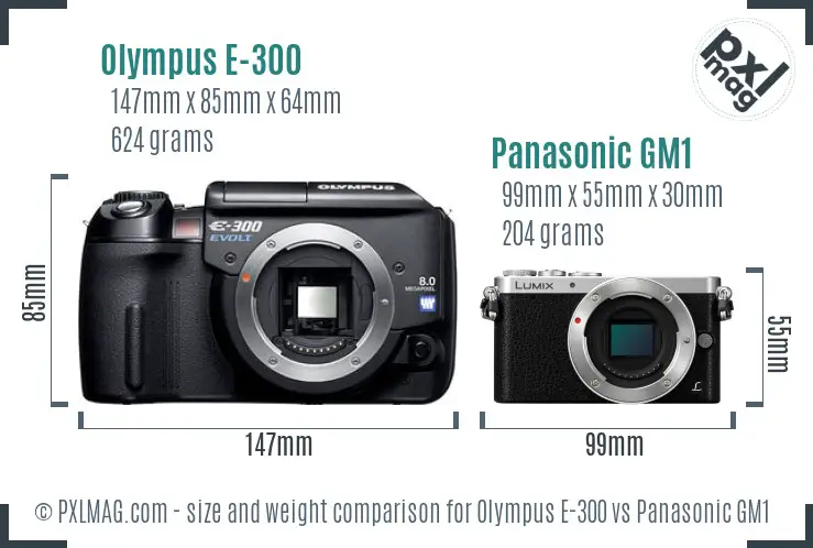 Olympus E-300 vs Panasonic GM1 size comparison