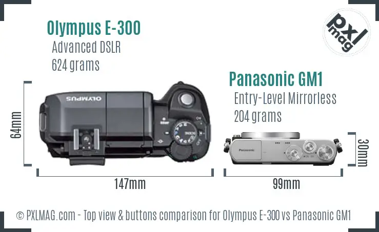 Olympus E-300 vs Panasonic GM1 top view buttons comparison