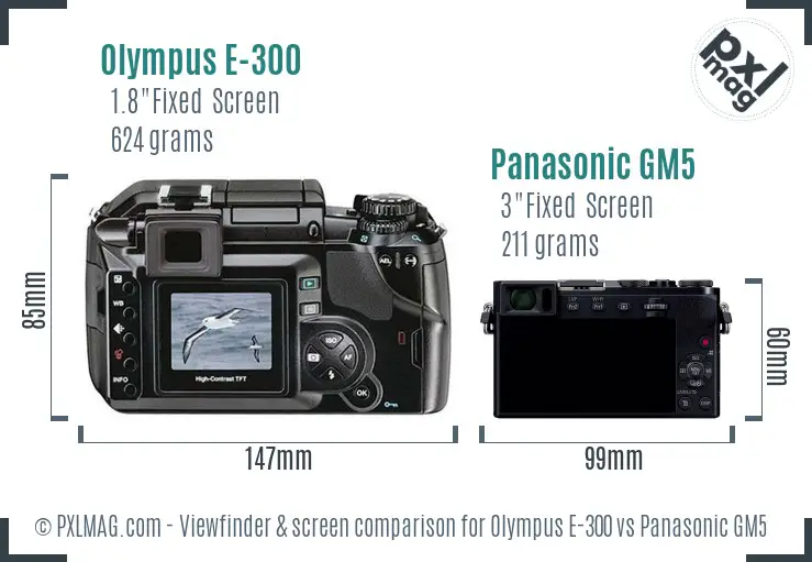 Olympus E-300 vs Panasonic GM5 Screen and Viewfinder comparison