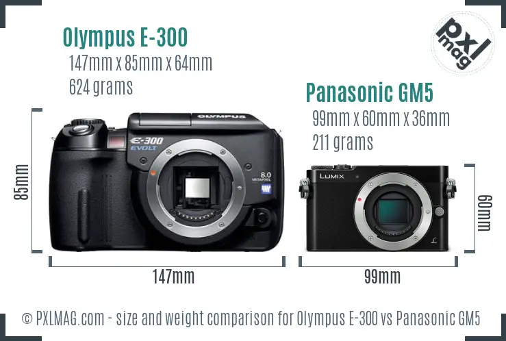 Olympus E-300 vs Panasonic GM5 size comparison