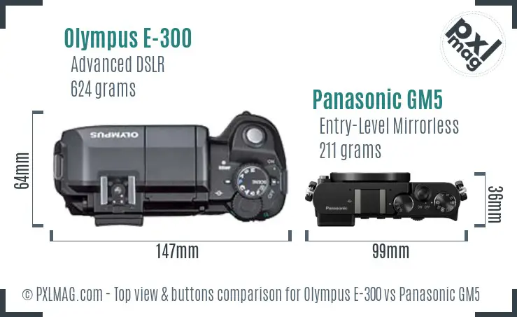 Olympus E-300 vs Panasonic GM5 top view buttons comparison