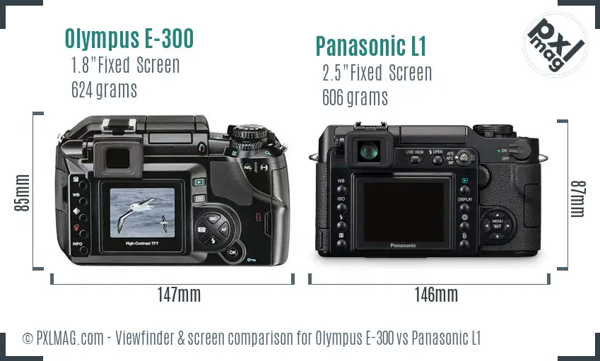 Olympus E-300 vs Panasonic L1 Screen and Viewfinder comparison