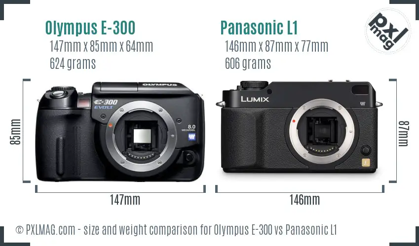 Olympus E-300 vs Panasonic L1 size comparison