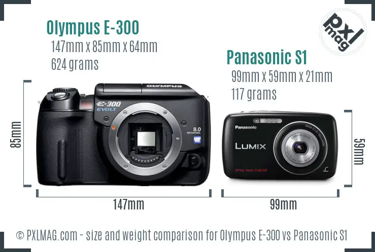 Olympus E-300 vs Panasonic S1 size comparison