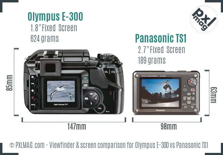 Olympus E-300 vs Panasonic TS1 Screen and Viewfinder comparison