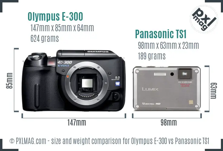 Olympus E-300 vs Panasonic TS1 size comparison