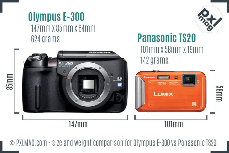 Olympus E-300 vs Panasonic TS20 size comparison