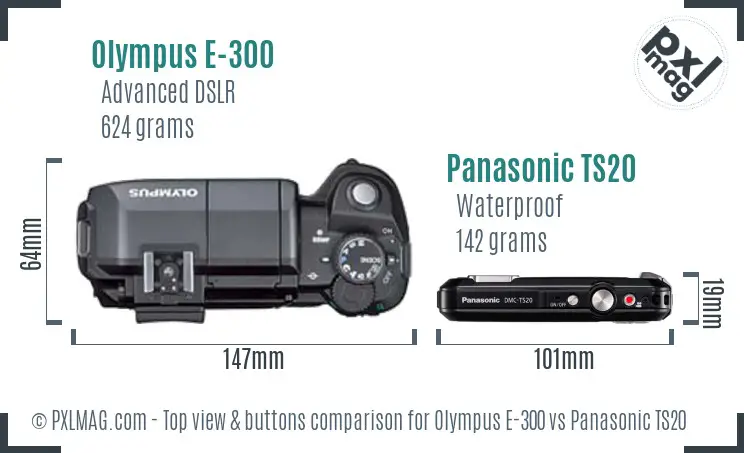 Olympus E-300 vs Panasonic TS20 top view buttons comparison