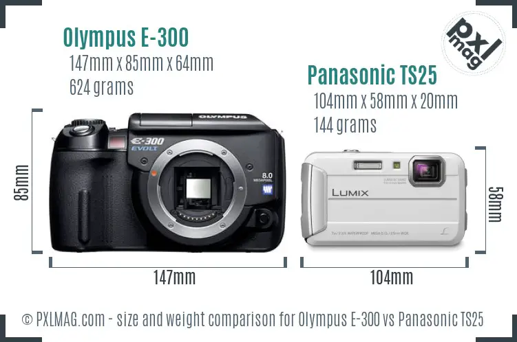 Olympus E-300 vs Panasonic TS25 size comparison