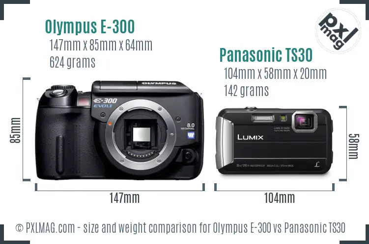 Olympus E-300 vs Panasonic TS30 size comparison
