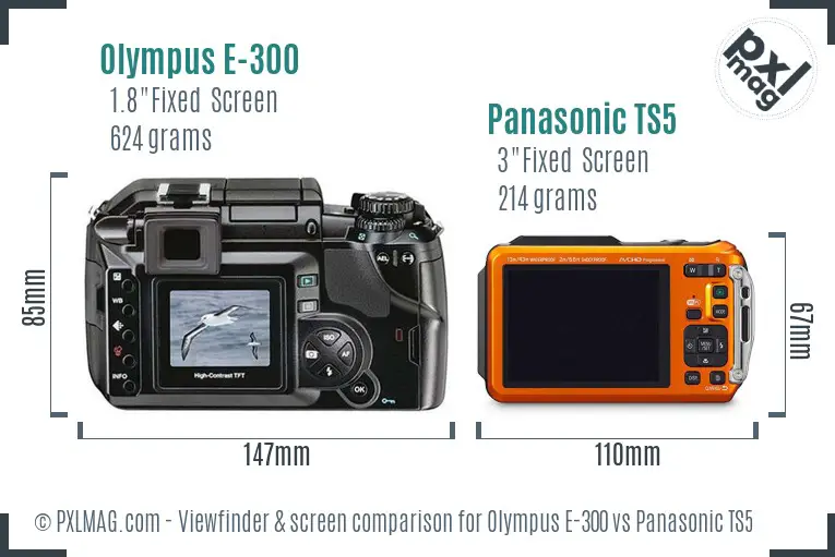 Olympus E-300 vs Panasonic TS5 Screen and Viewfinder comparison