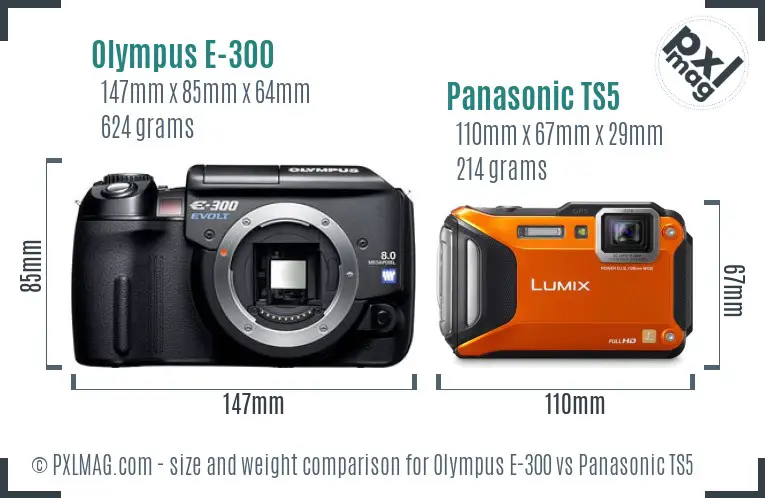 Olympus E-300 vs Panasonic TS5 size comparison