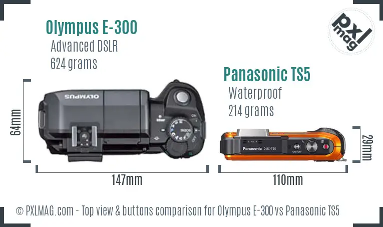 Olympus E-300 vs Panasonic TS5 top view buttons comparison