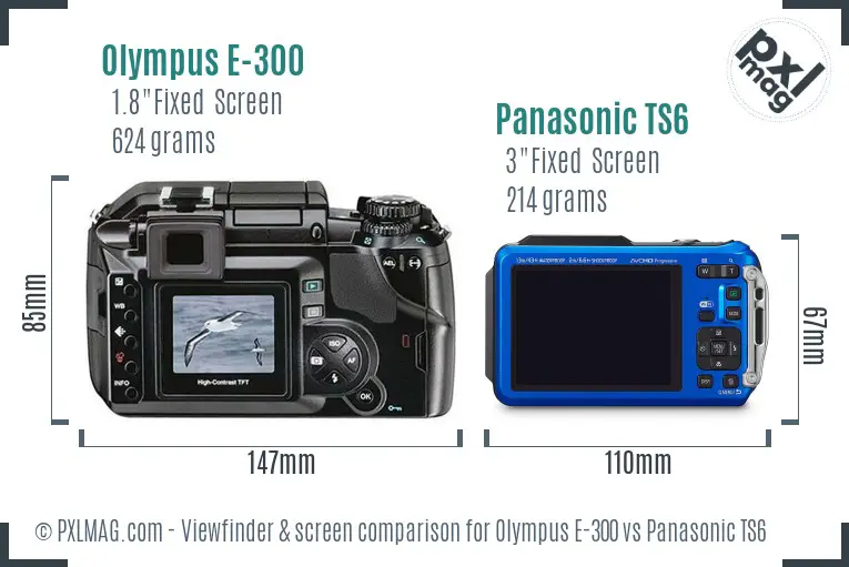 Olympus E-300 vs Panasonic TS6 Screen and Viewfinder comparison