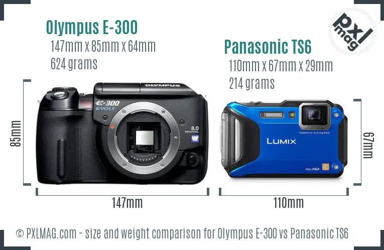 Olympus E-300 vs Panasonic TS6 size comparison