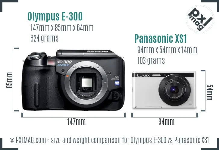 Olympus E-300 vs Panasonic XS1 size comparison