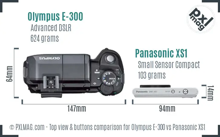 Olympus E-300 vs Panasonic XS1 top view buttons comparison
