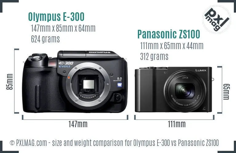 Olympus E-300 vs Panasonic ZS100 size comparison
