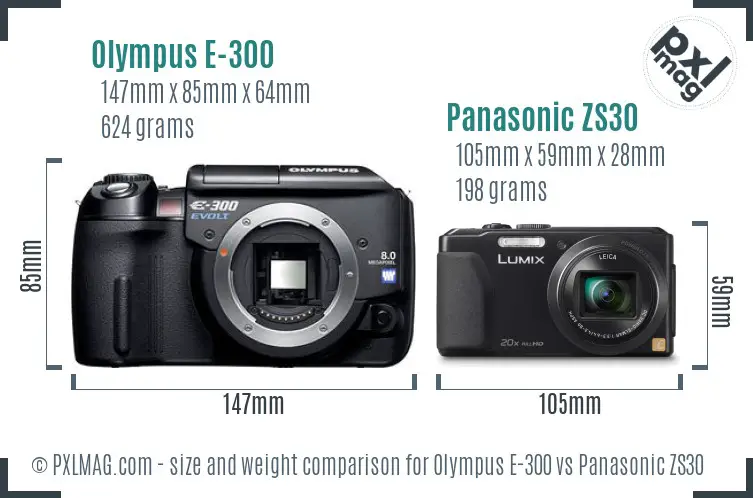 Olympus E-300 vs Panasonic ZS30 size comparison