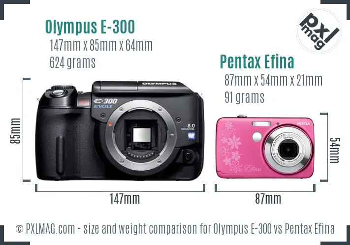 Olympus E-300 vs Pentax Efina size comparison
