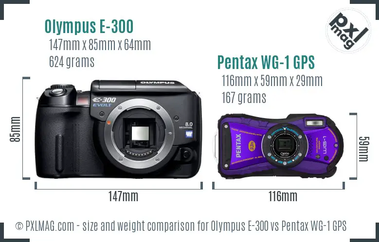 Olympus E-300 vs Pentax WG-1 GPS size comparison