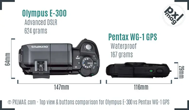 Olympus E-300 vs Pentax WG-1 GPS top view buttons comparison
