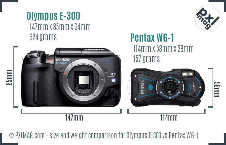 Olympus E-300 vs Pentax WG-1 size comparison