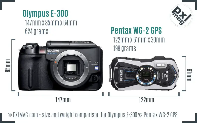 Olympus E-300 vs Pentax WG-2 GPS size comparison