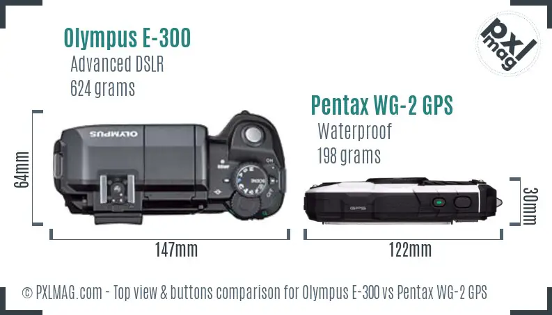 Olympus E-300 vs Pentax WG-2 GPS top view buttons comparison