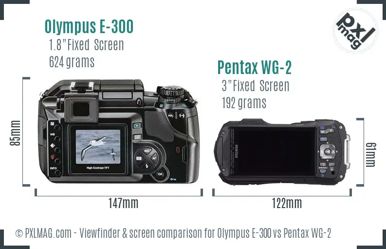 Olympus E-300 vs Pentax WG-2 Screen and Viewfinder comparison