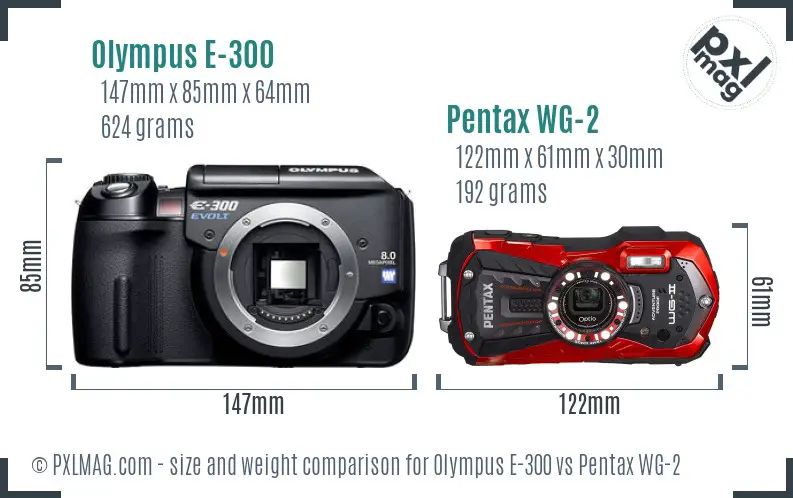 Olympus E-300 vs Pentax WG-2 size comparison