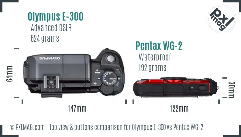 Olympus E-300 vs Pentax WG-2 top view buttons comparison