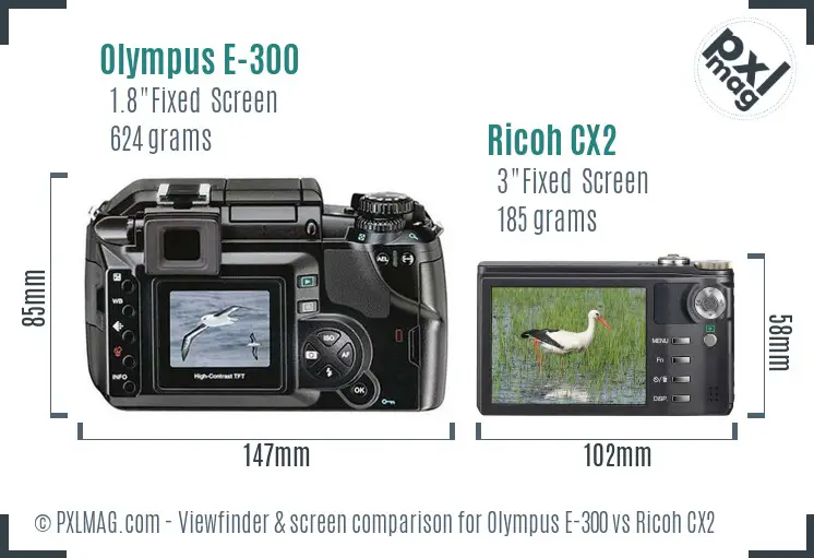Olympus E-300 vs Ricoh CX2 Screen and Viewfinder comparison