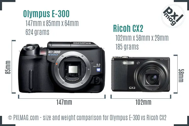 Olympus E-300 vs Ricoh CX2 size comparison