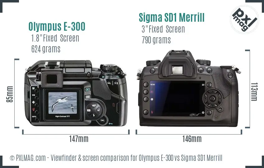 Olympus E-300 vs Sigma SD1 Merrill Screen and Viewfinder comparison