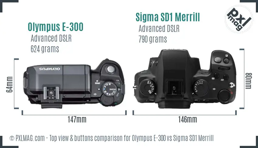 Olympus E-300 vs Sigma SD1 Merrill top view buttons comparison