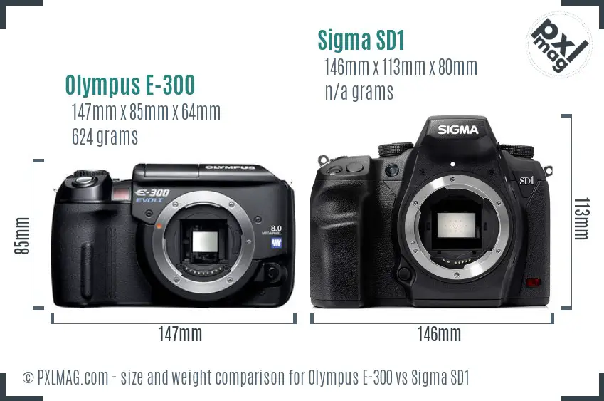Olympus E-300 vs Sigma SD1 size comparison