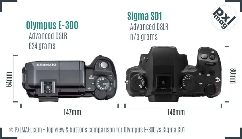 Olympus E-300 vs Sigma SD1 top view buttons comparison